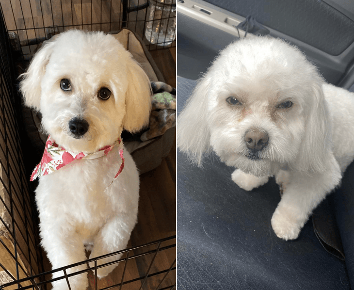 Dlisted Open Post Hosted By A Woman Accidentally Picking Up The