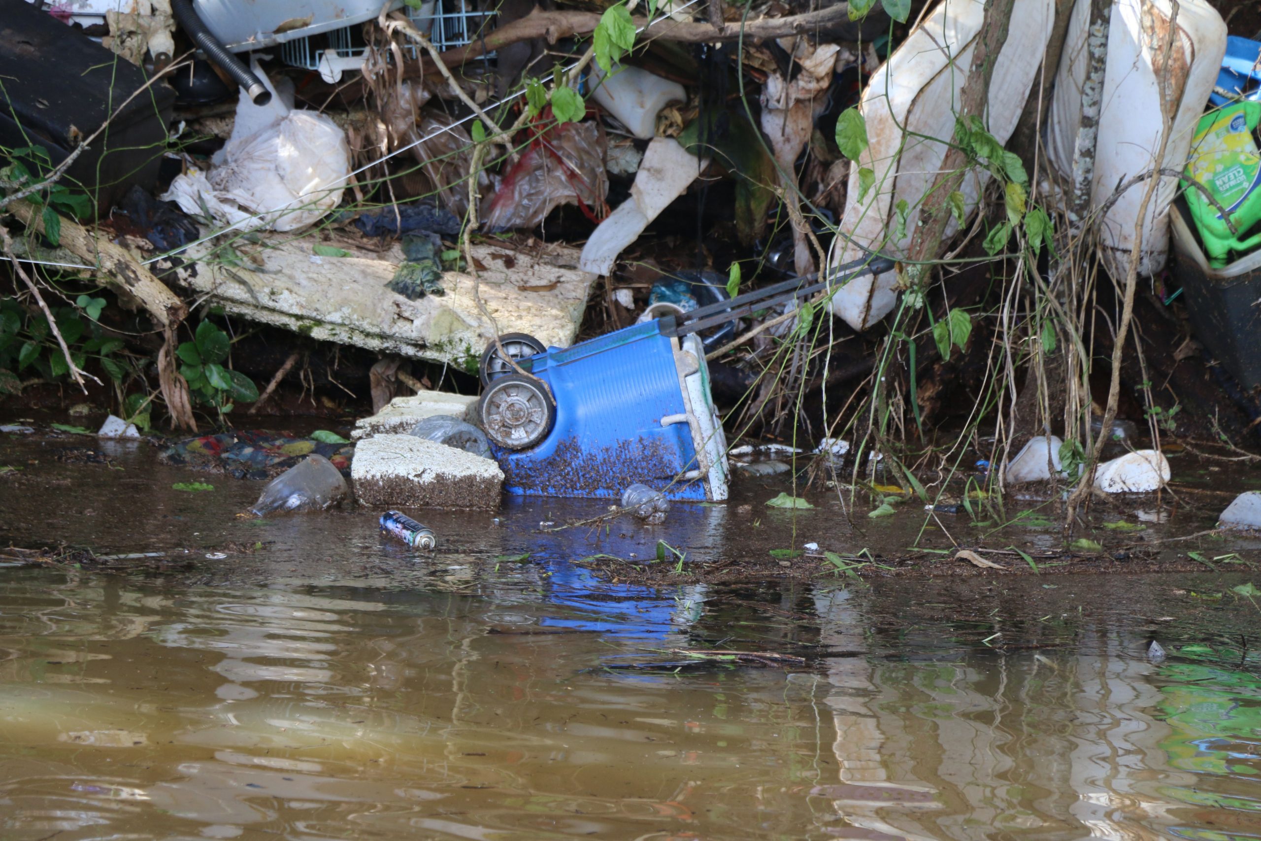 Department of Land and Natural Resources 03/25/21LAKE WILSON CLEAN UP