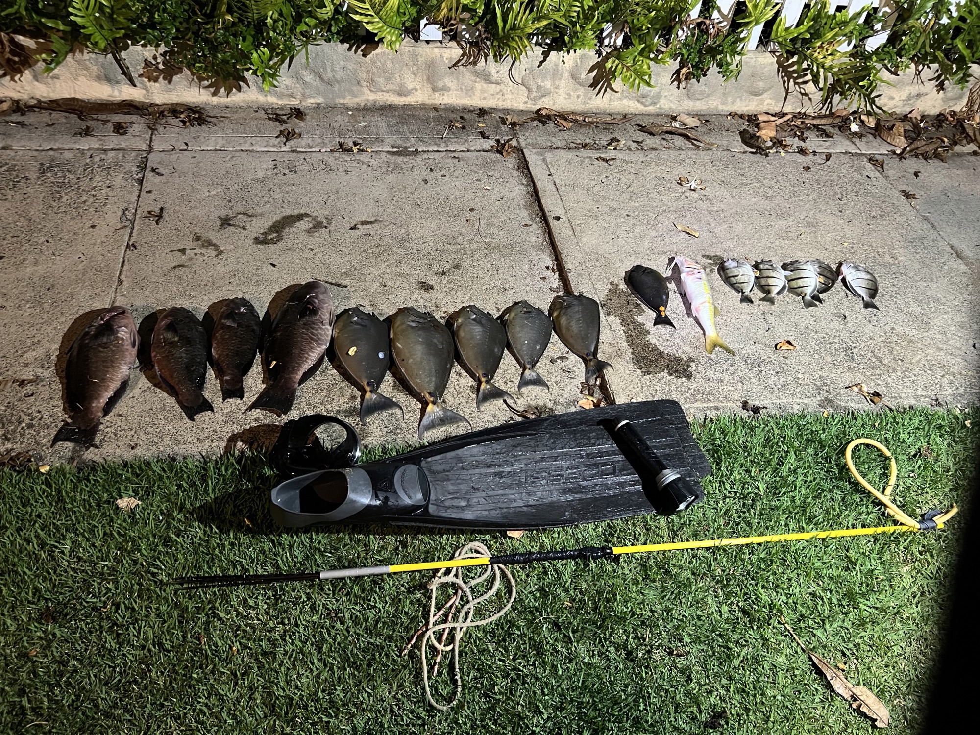 Department of Land and Natural Resources 10/09/22 TWO HONOLULU MEN