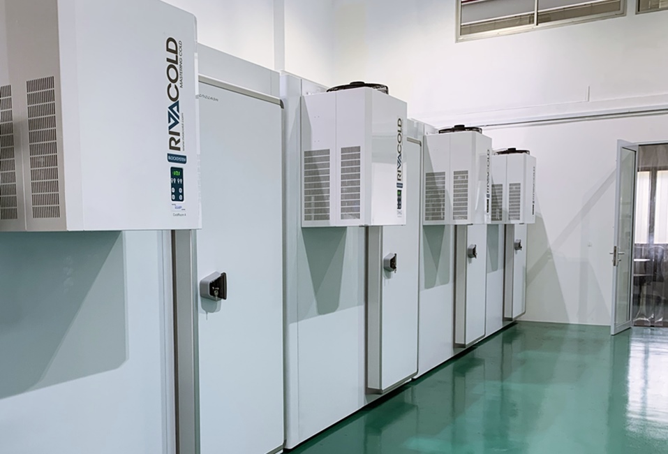 We Build and Design Cold Rooms DLogic Refrigeration