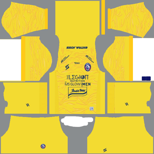 Indonesia DLS Kits & Logo 202425 DLS Kit's & Logo's