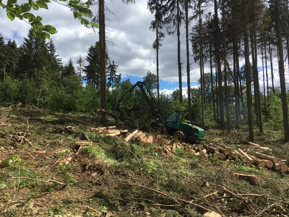 WOOD UNION Aktuality Centrum Dluhopisů Dluhopisy.cz