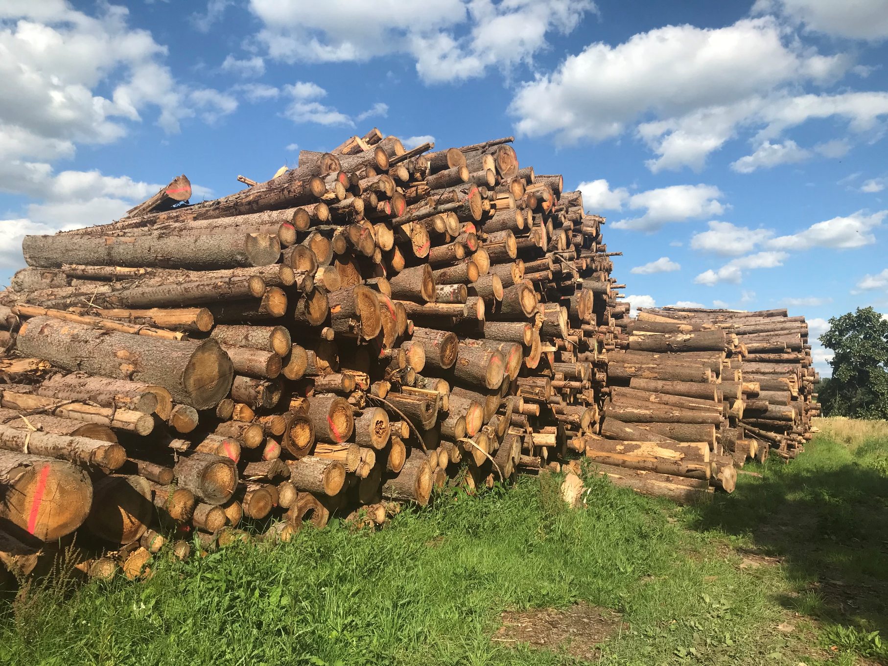 WOOD UNION s.r.o. Prezentace Emitenta Centrum Dluhopisů Dluhopisy.cz