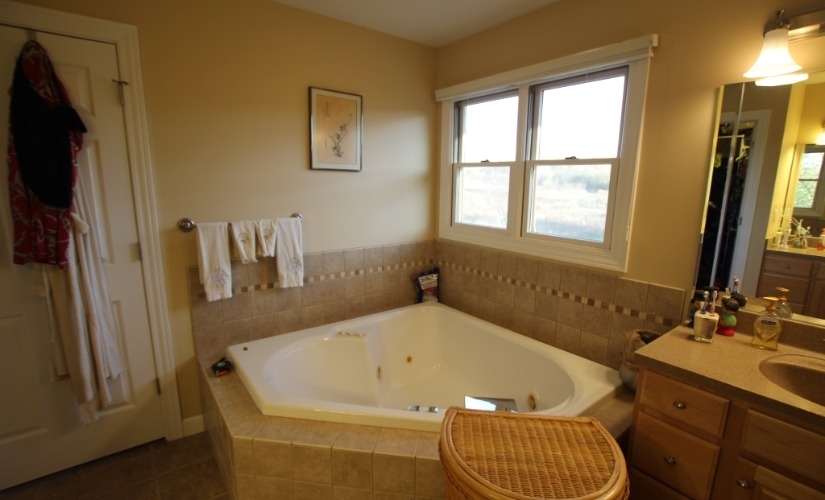 Lotus Blossom Bathroom near Ypsilanti DreamMaker Bath & Kitchen