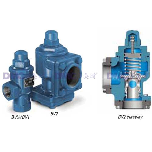 Blackmer LPG Bypass Valves Precise, OnLine Pressure Protection DMC 多美時
