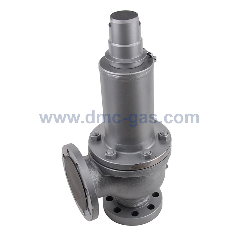 MS Miyairi LPG Relief Valve / Safety Valve DMC Gas Equipment Ltd