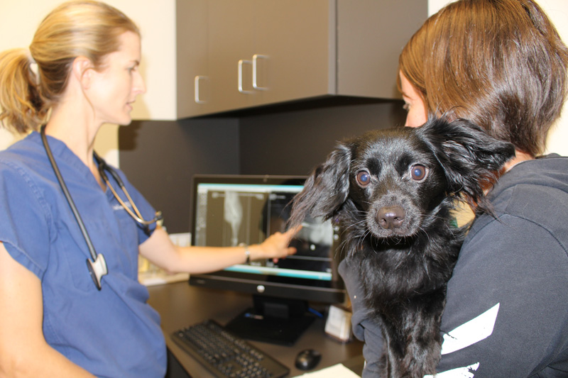 Examples D Media Photography Plano, Texas