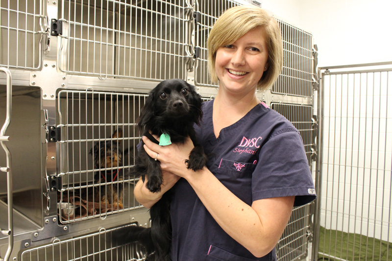 Examples D Media Photography Plano, Texas