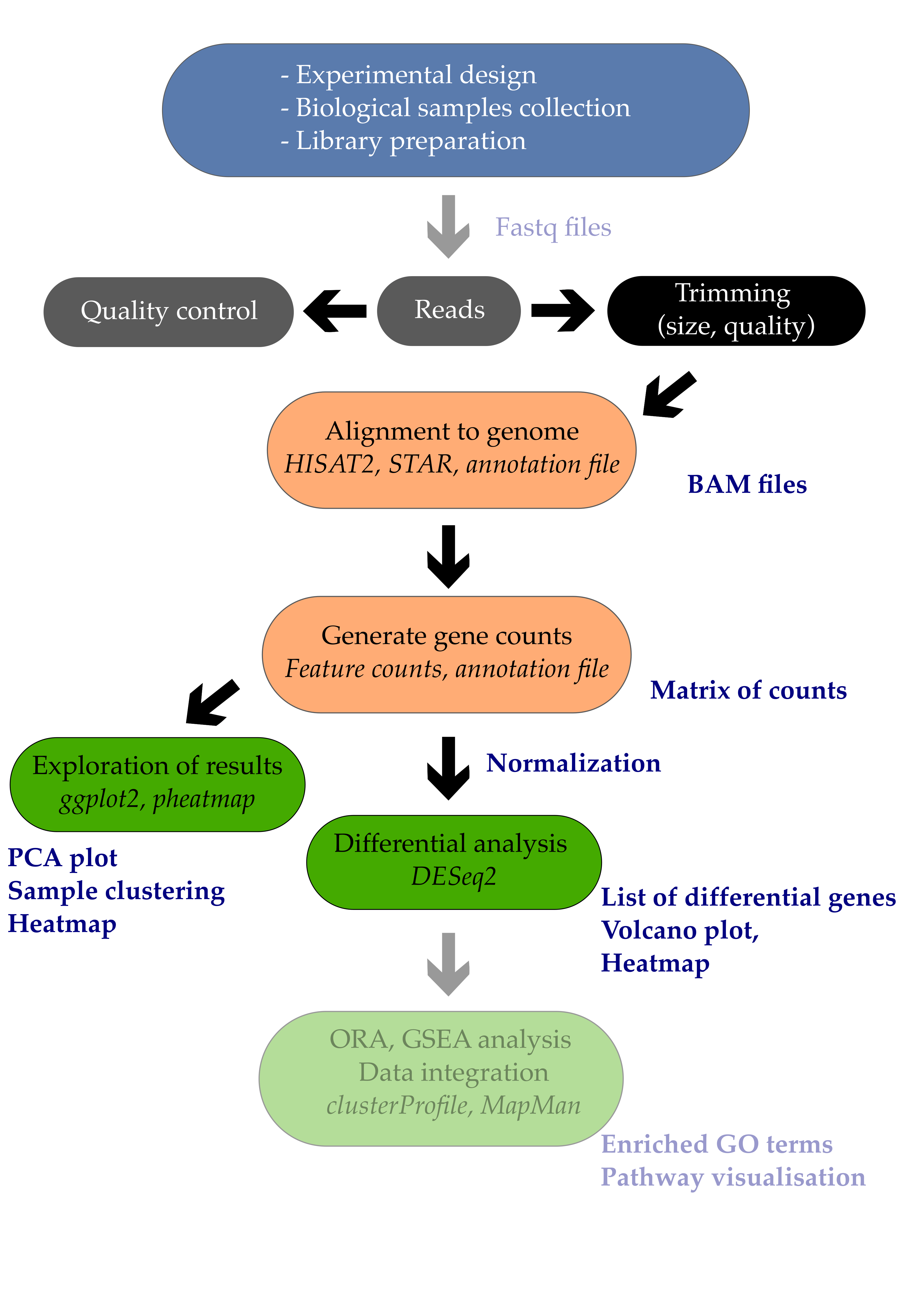 06 Differential expression analysis Introduction to RNAseq