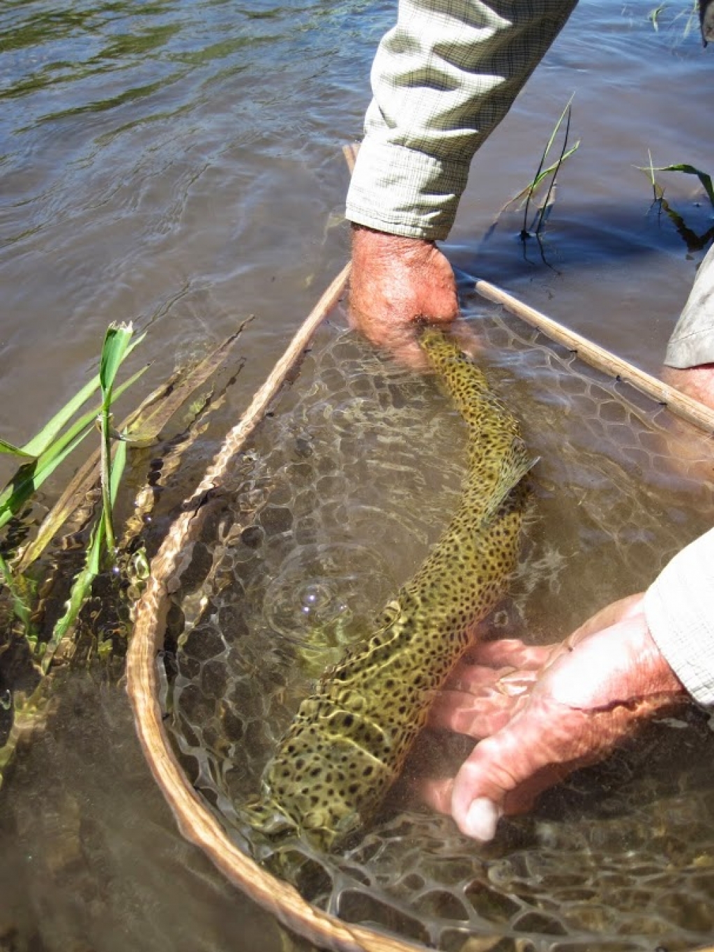 Fly Fishing Elk Creek Ranch Meeker, Colorado 81641