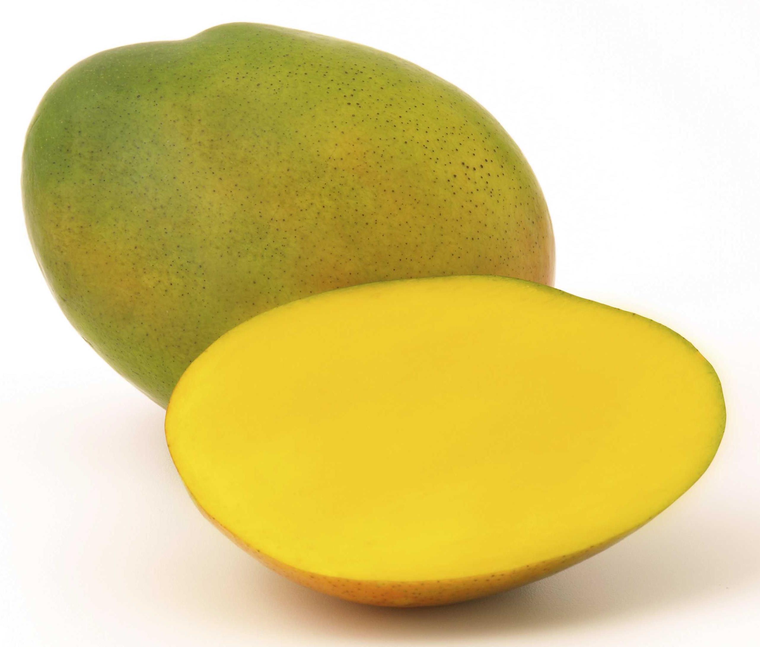 Variedades de Mango en México DM Plast