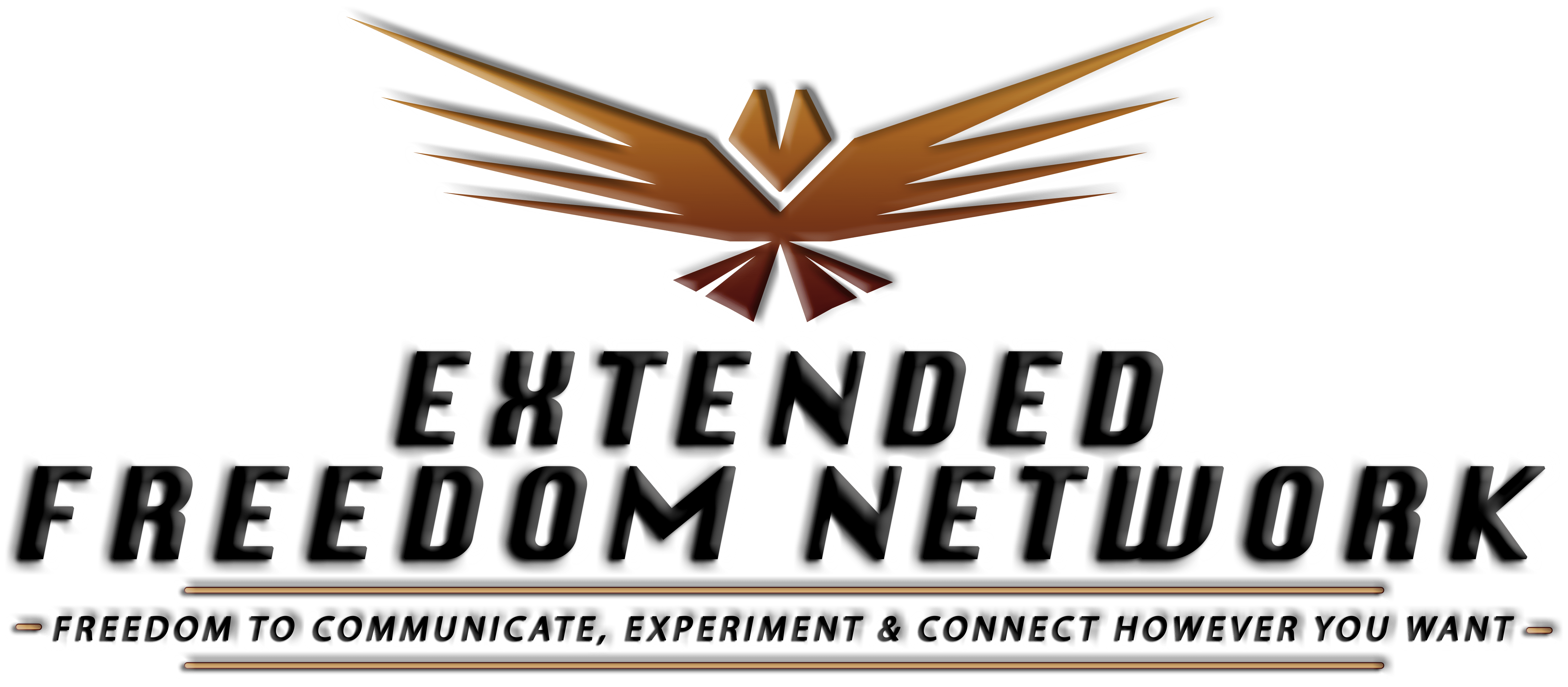 Extended Freedom Network DMR