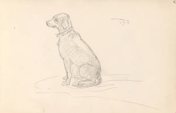 Hund [Tegning] Nasjonalmuseet, billedkunstsamlingene / DigitaltMuseum