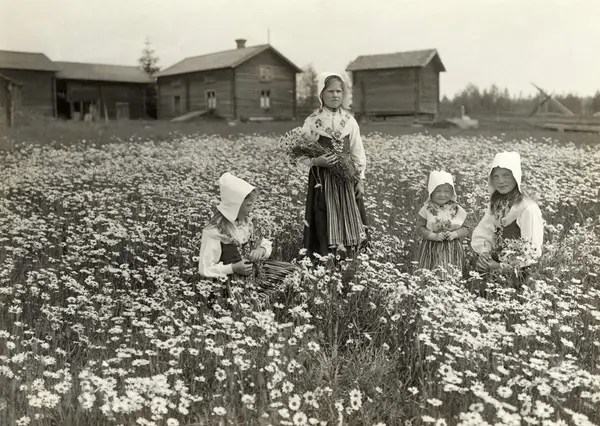 Små flickor plockar blommor på ängen. Leksand, Dalarna. Nordiska