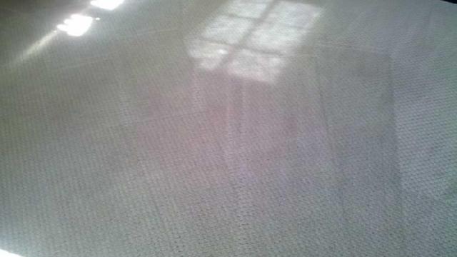 Norwalk Carpet and Upholstery Cleaning Services