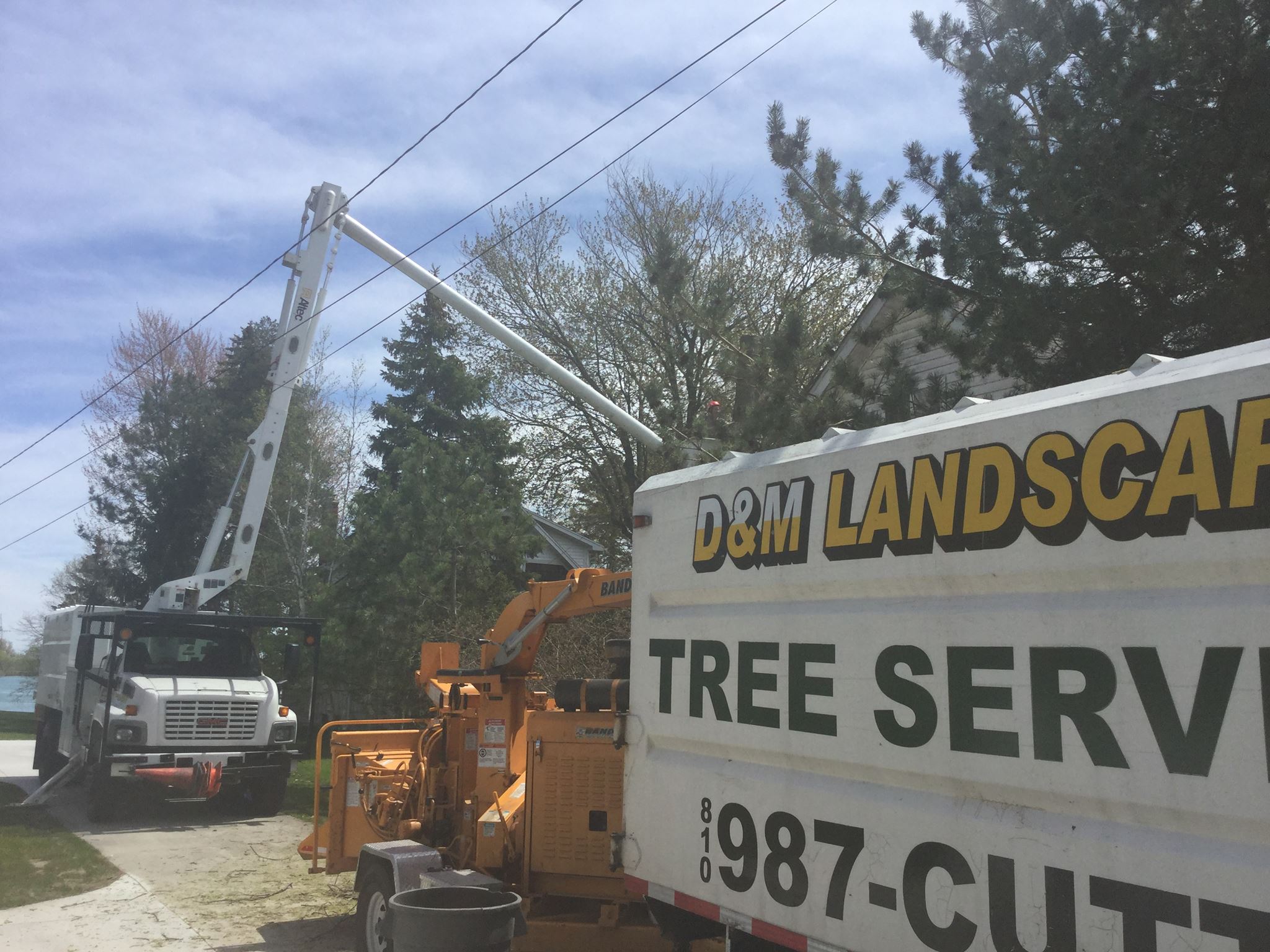 Gallery D & M Tree Service