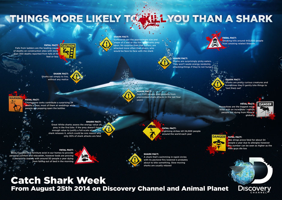 Discovery Channel Shark Week Infographics Graphic Design