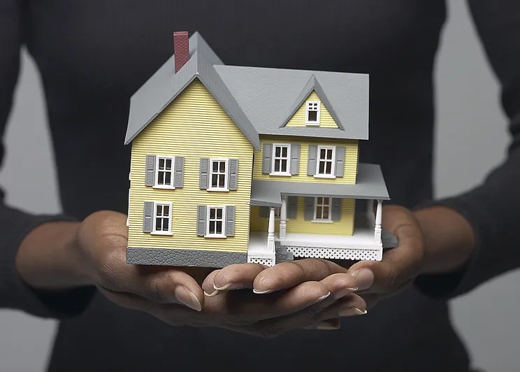 Grants and Special Programs DMV Digest