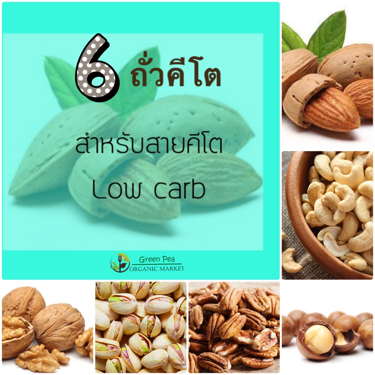ถั่ว สำหรับสายคีโต Low carbs KETO Greenpea Organic ขายส่ง ผลิตภัณฑ์