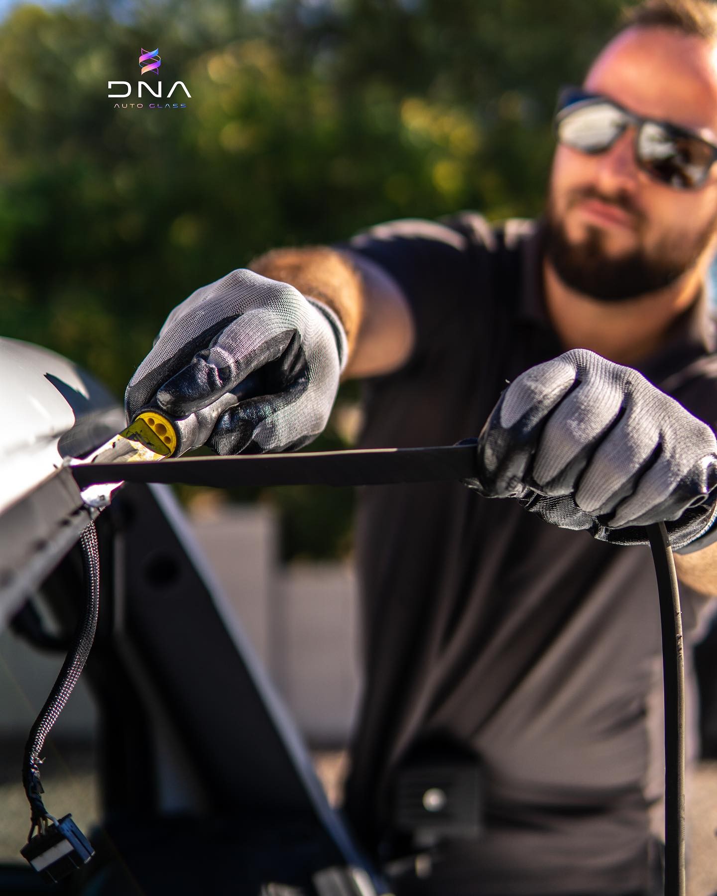 Repairing vs. Replacing Your Car Windshield Blog DNA Auto Glass