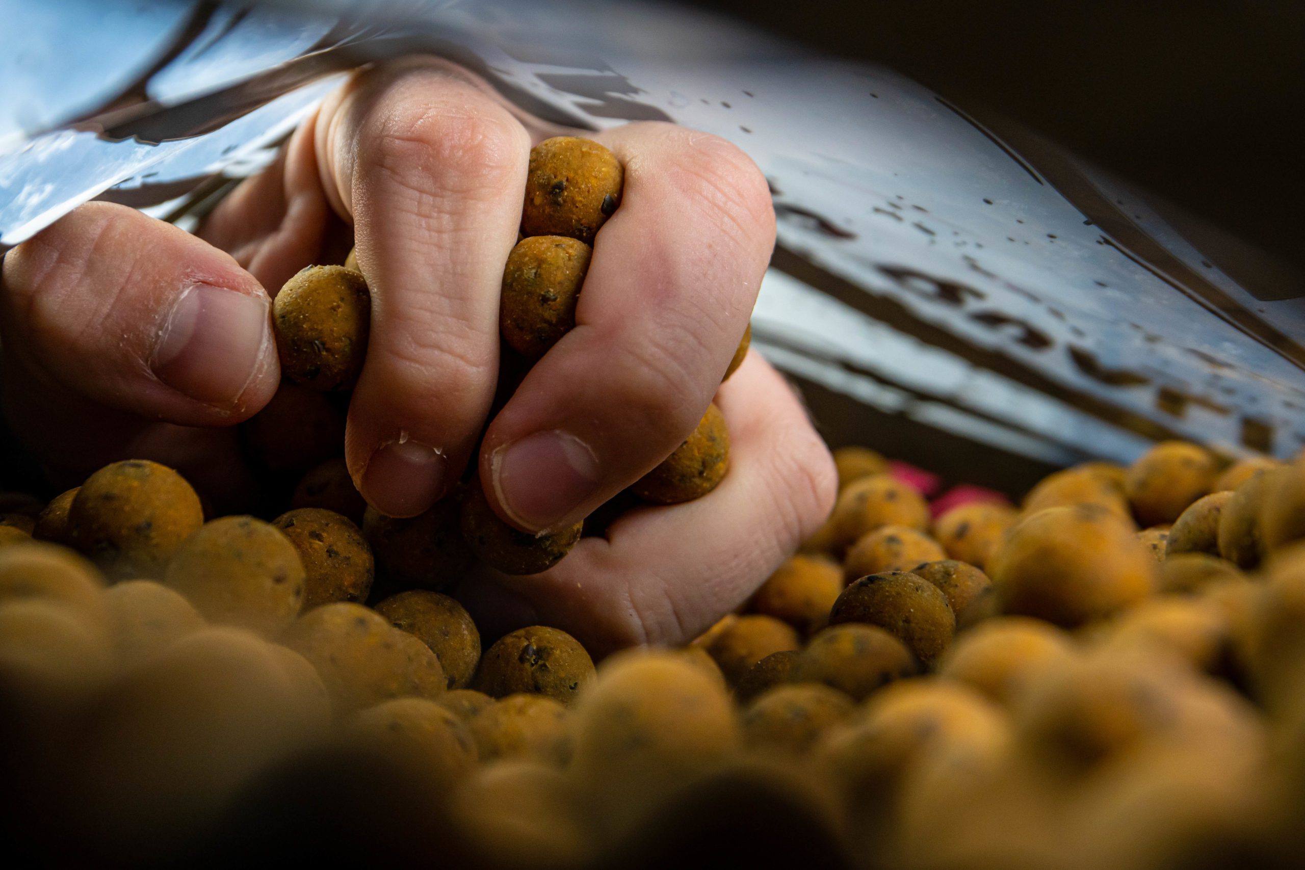 The Switch Shelf Life Bait 5KG DNA Baits DNA Baits