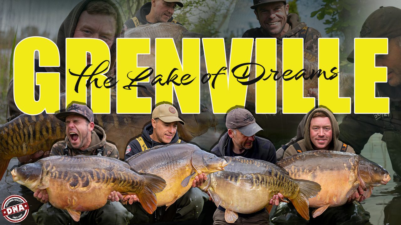 GRENVILLE THE LAKE OF DREAMS DNA Baits DNA Baits