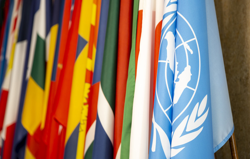 DNA Paternity Testing Near Me Location Finder DNA Diagnostics Center