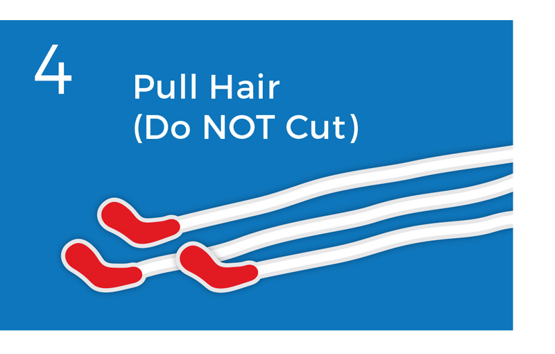 DIY Collection Kit for Equine DNA Testing DNA Diagnostics Center