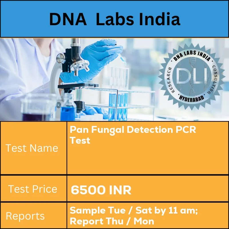 Pan Fungal Detection PCR Test Cost 6500 INR in India