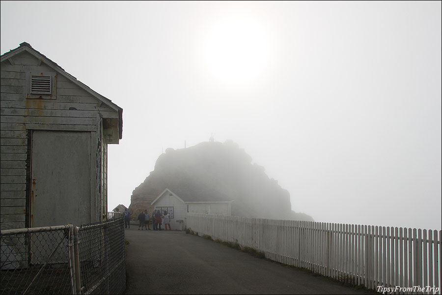 This is what fog at Point Reyes looks like Tipsy from the TRIP