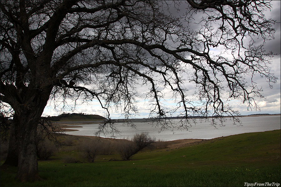 Folsom Lake from Folsom Point Tipsy from the TRIP