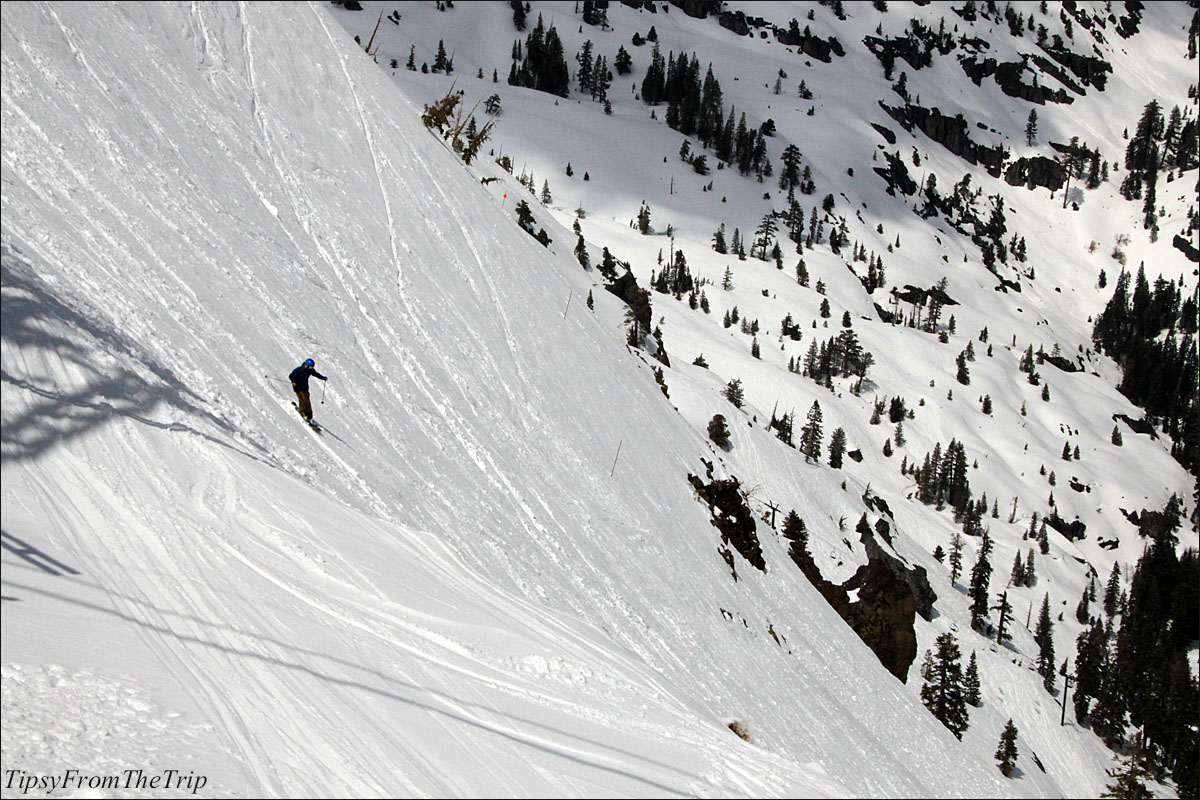 The scenic snowclad slopes of Squaw Valley Tipsy from the TRIP