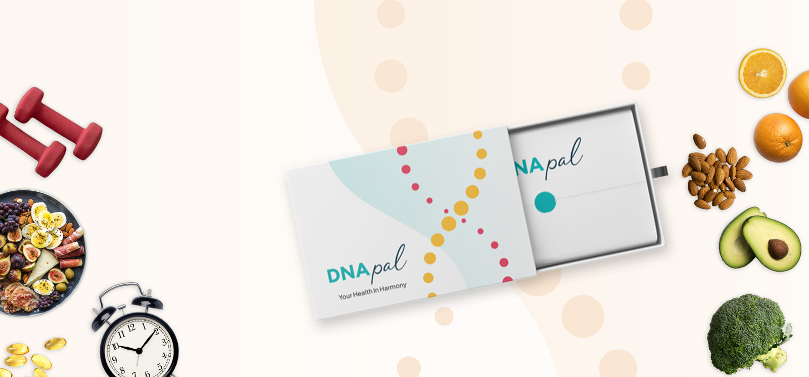 DNA Testing with DNApal [For Ultimate Health and Wellbeing]