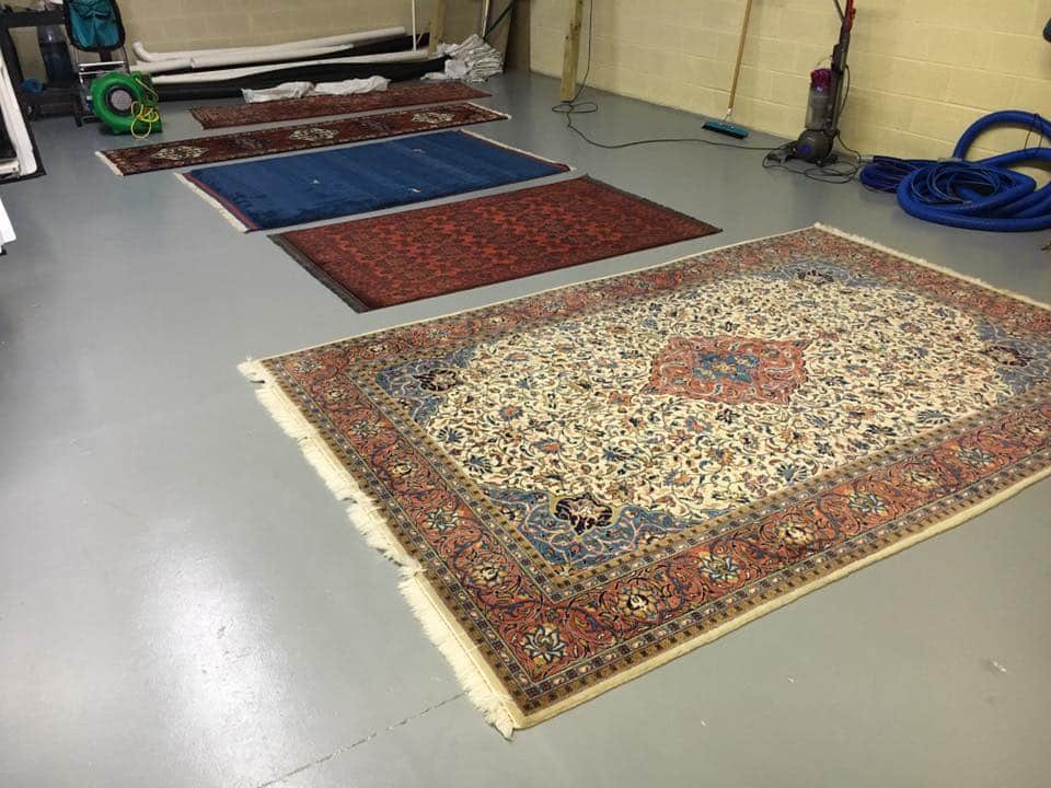 Oriental Area Rug Cleaning PreCleaning Tips Springfield VA