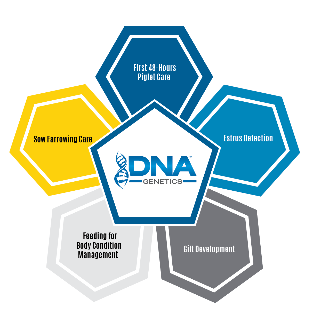 Five Pillars of Reproductive Care (SMF) DNA