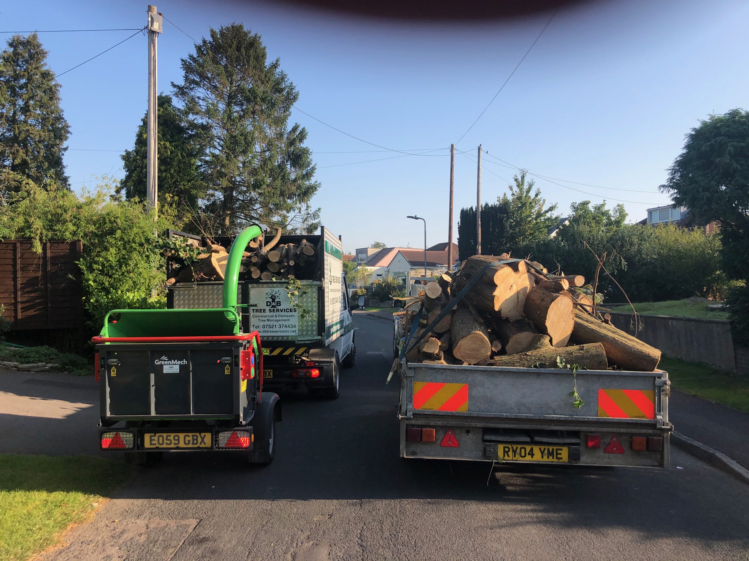 Gallery D and B Tree Services