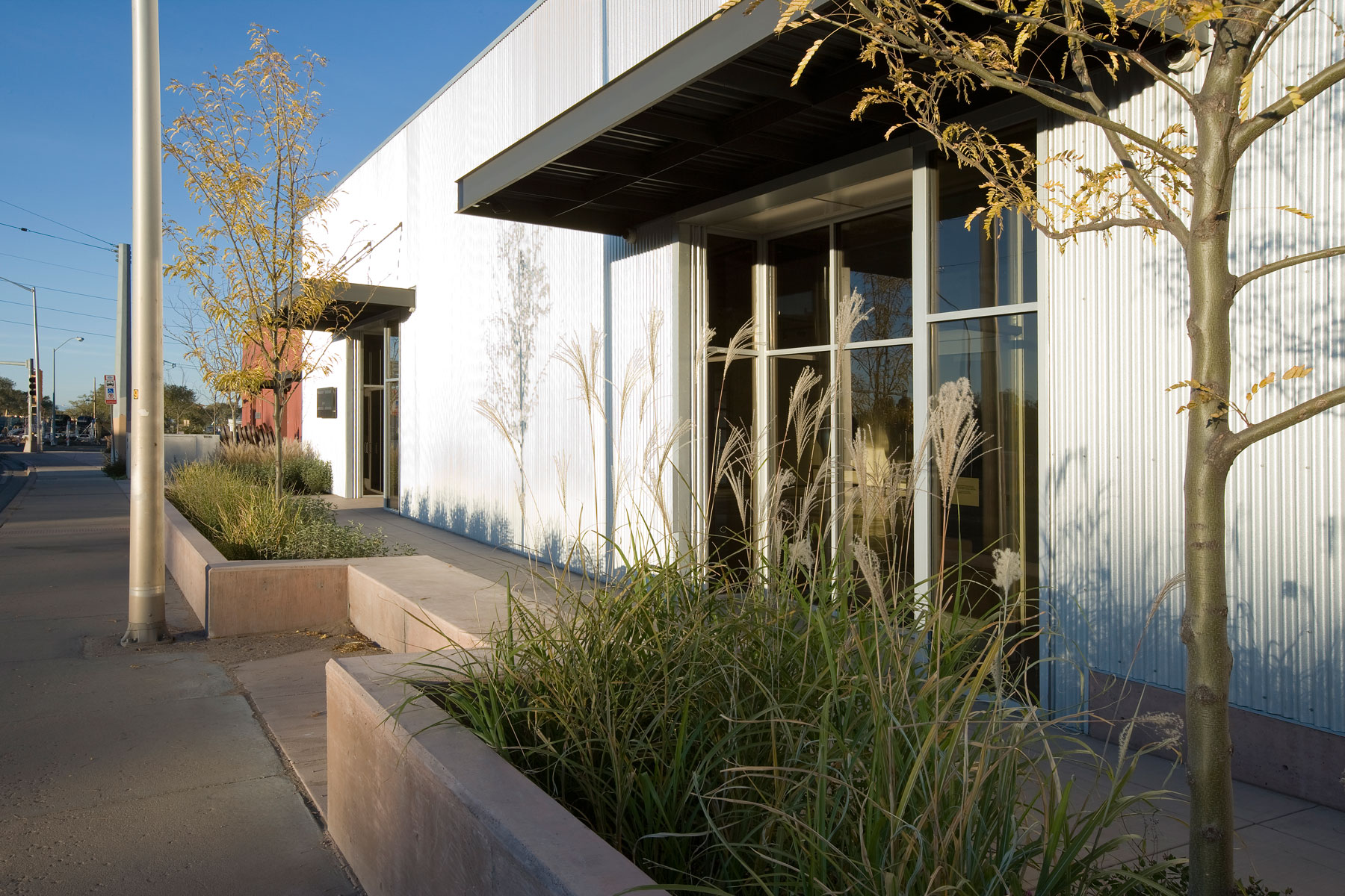 RoseMorelli Building dnca architects