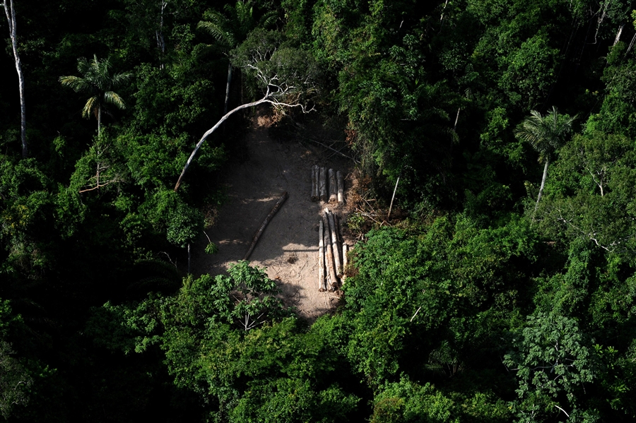 Housing minister Egypt’s Petrified Forest Reserve to tourist