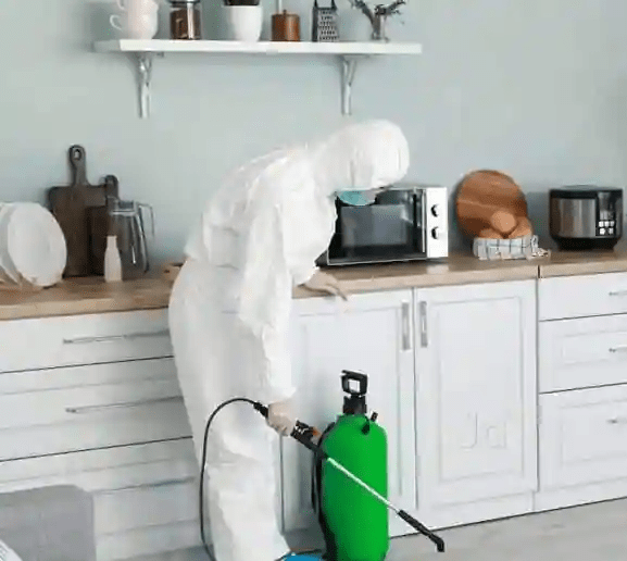 Best Pest Control Services in Vijayawada Termite Control Services