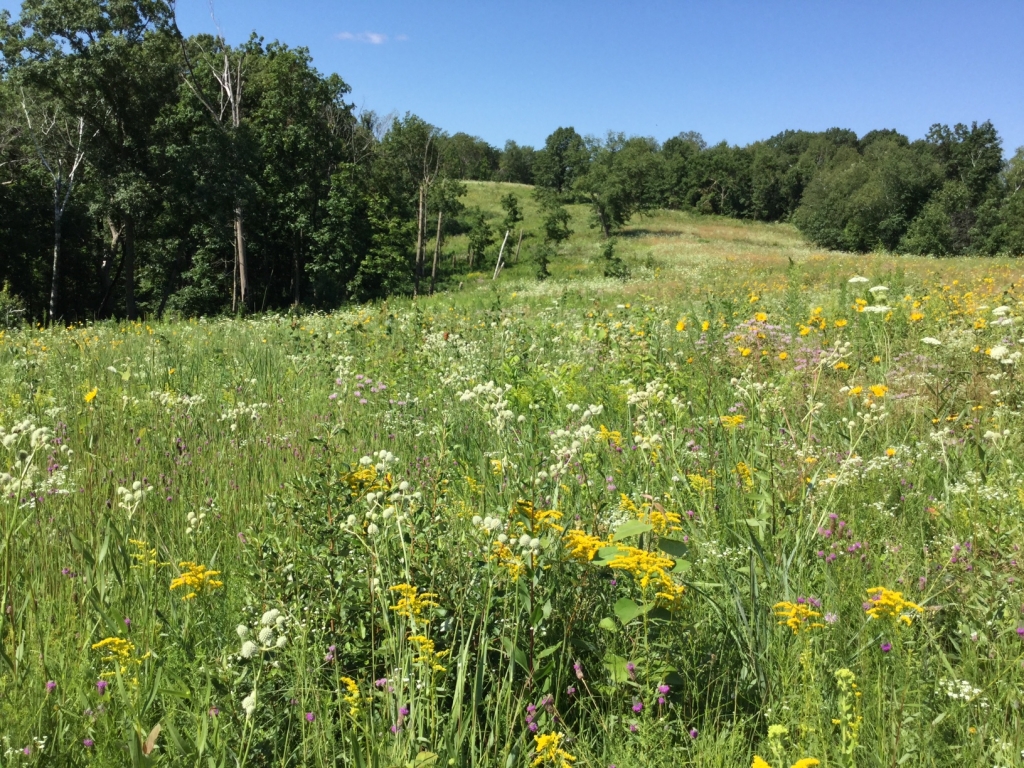 Landowner Incentive Program Helping private landowners protect rare
