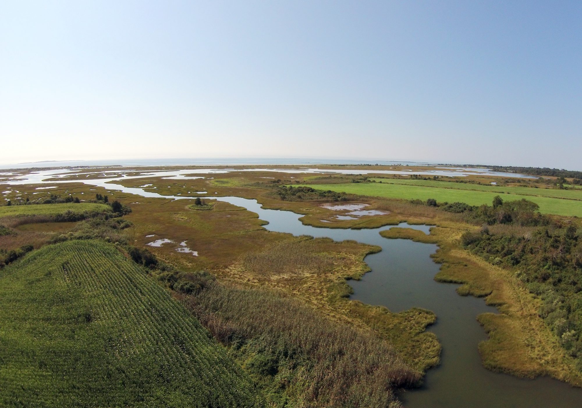 Ocean View Farm Reserve Dartmouth Natural Resources Trust (DNRT)
