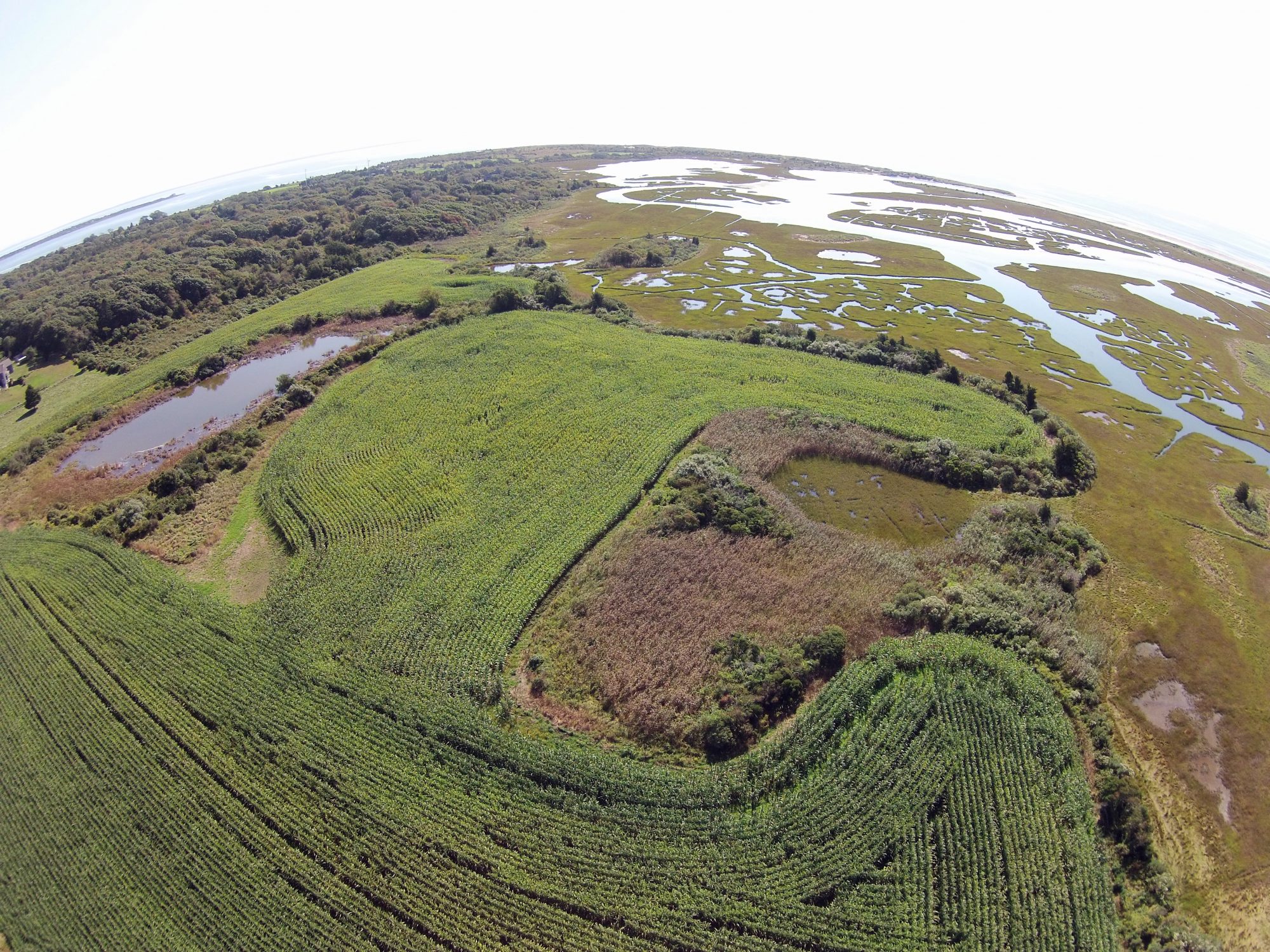Ocean View Farm Reserve Dartmouth Natural Resources Trust (DNRT)
