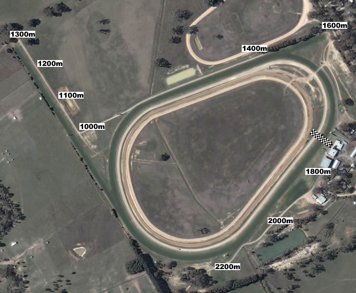 Seymour Racecourse & Races