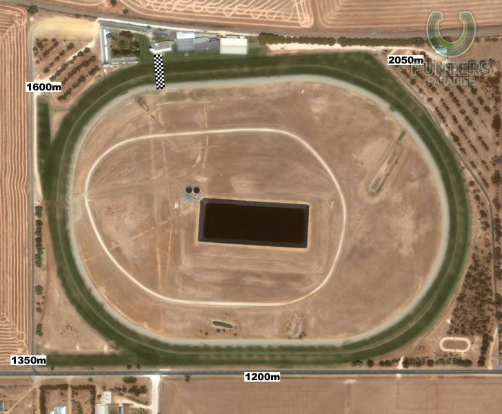 Strathalbyn R3 1200m Nostradamus Standing at Springfield Farm Hcp (C1