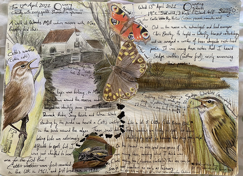 Go wild with a nature journal Sussex Wildlife Trust
