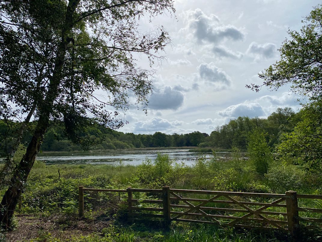 Wild by the water Sussex Wildlife Trust