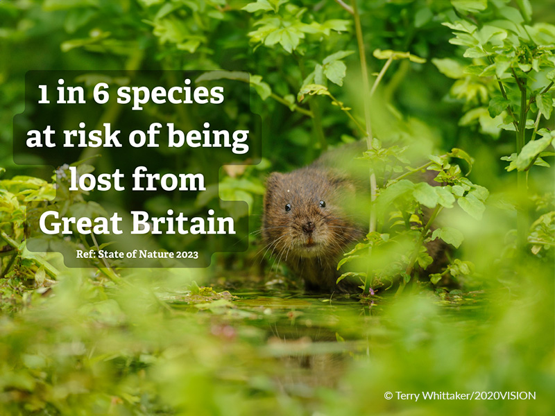 The State of Nature Sussex Wildlife Trust