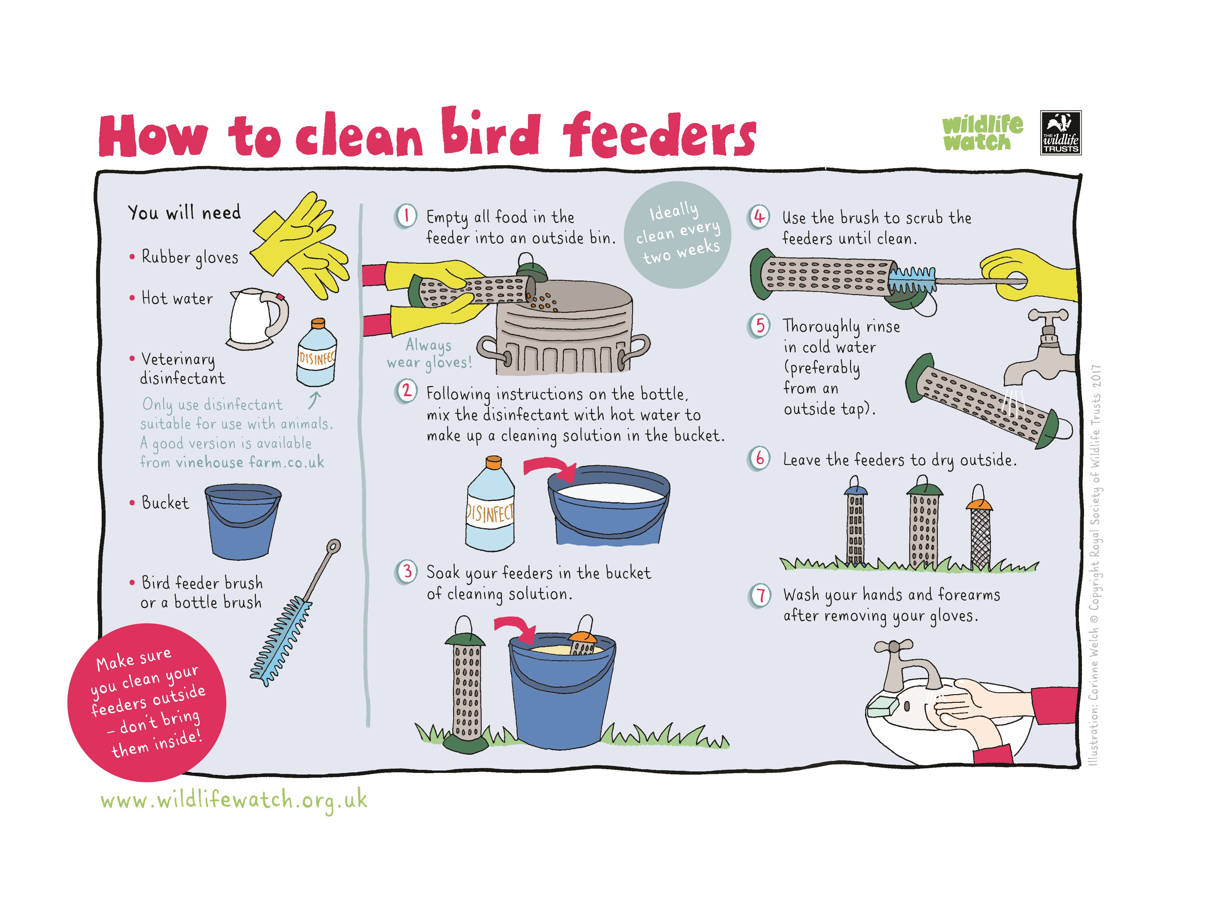 How to clean bird feeders and nest boxes Sussex Wildlife Trust