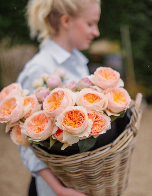 Floral Event Decor Hire Event Florists Scarlett Entertainment