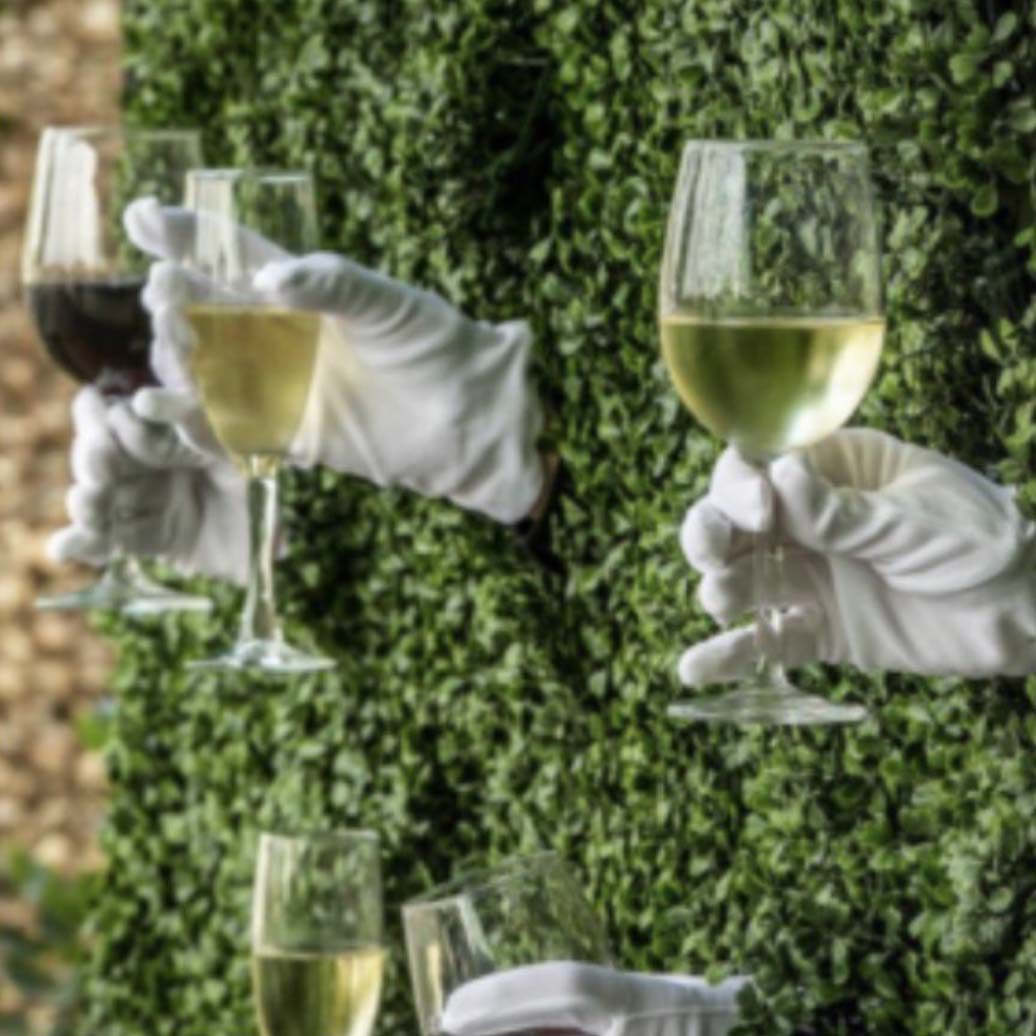 Book a Living Champagne Wall Las Vegas Scarlett Entertainment